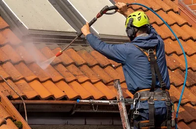 Démoussage et hydrofuge de toiture à Tessoualle